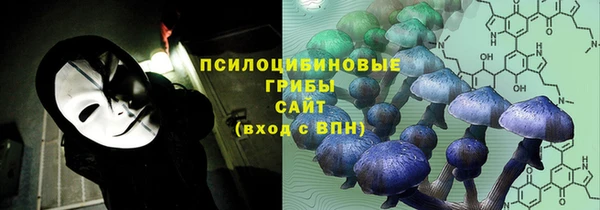 a pvp Алзамай
