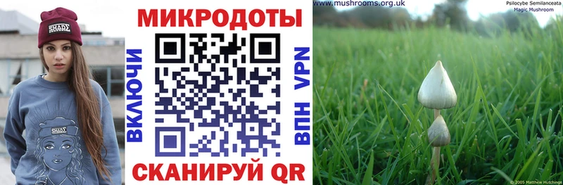 Псилоцибиновые грибы Cubensis  закладка  Муром 