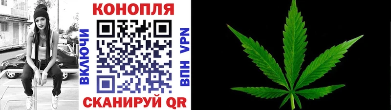 кракен зеркало Муром МАРИХУАНА сатива продажа наркотиков